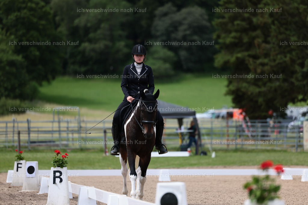 KlasseA_Stoibphotography_C2_L5306.JPG | working equitationturnier fotograf videograf stoibphotography marixx film working equitation deutschland reitsport turnierfotografie eventfotografie equestrian events