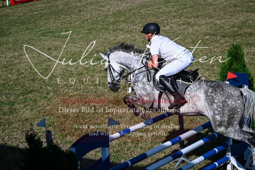 DSC_2567 | Pferde- und Turnierfotografie in Westsachsen. Pferdeportraits, Auftragszeichnungen und intuitive Kunst.