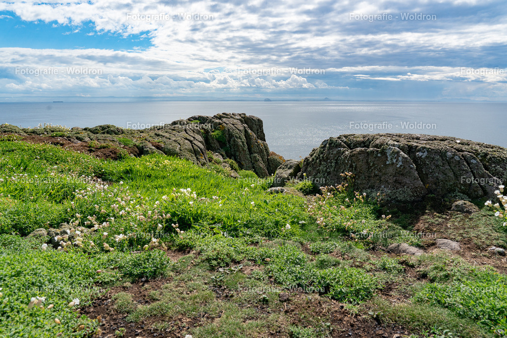20230815 Isle of Sky - St.Andrews - Dundee-81 | Fotografie Woldron