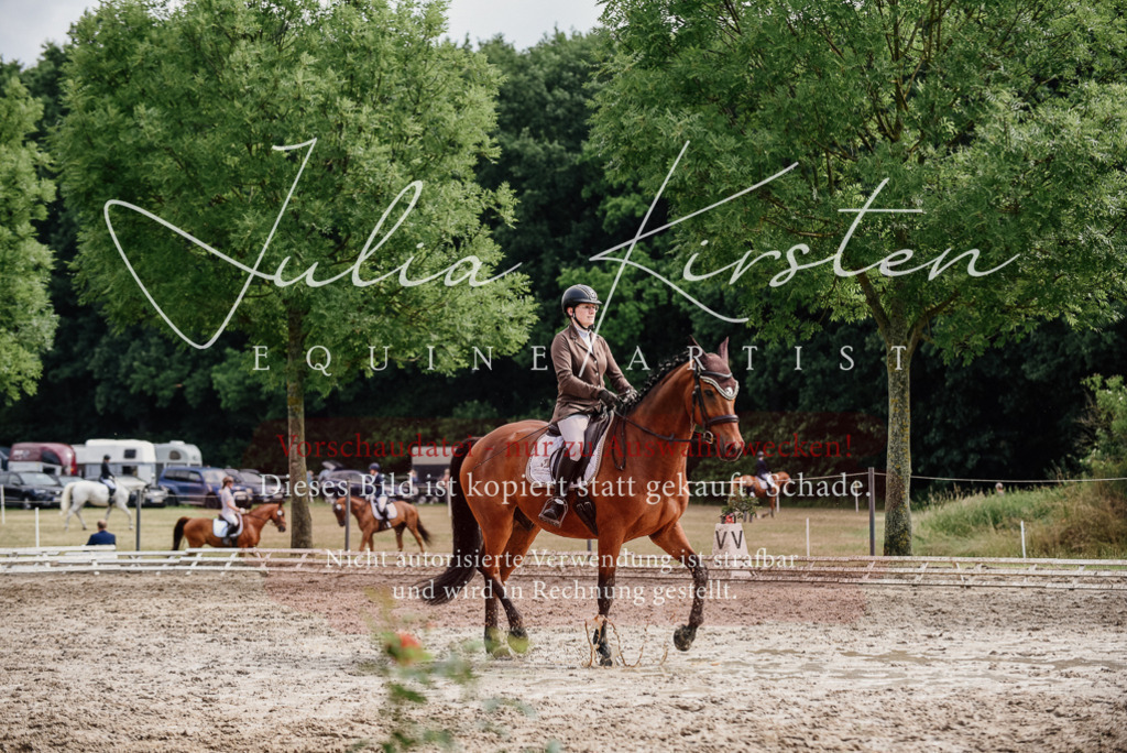 DSC_9509 | Pferde- und Turnierfotografie in Westsachsen. Pferdeportraits, Auftragszeichnungen und intuitive Kunst.
