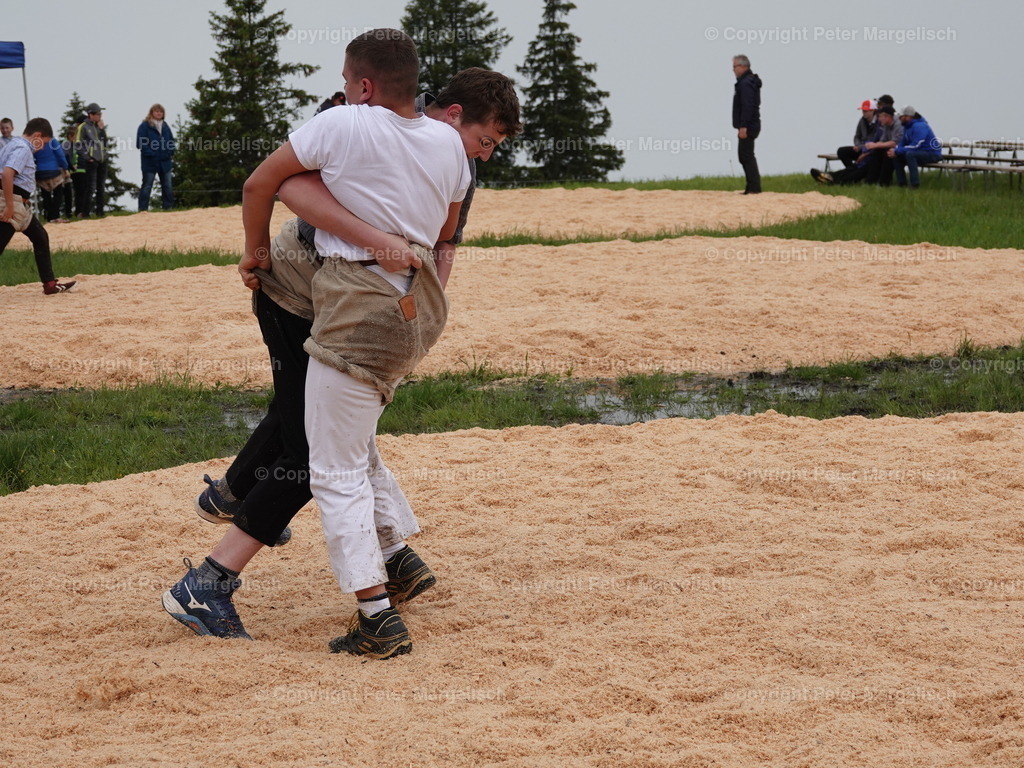 DSC07832 | Schwingen - Realisiert mit Pictrs.com