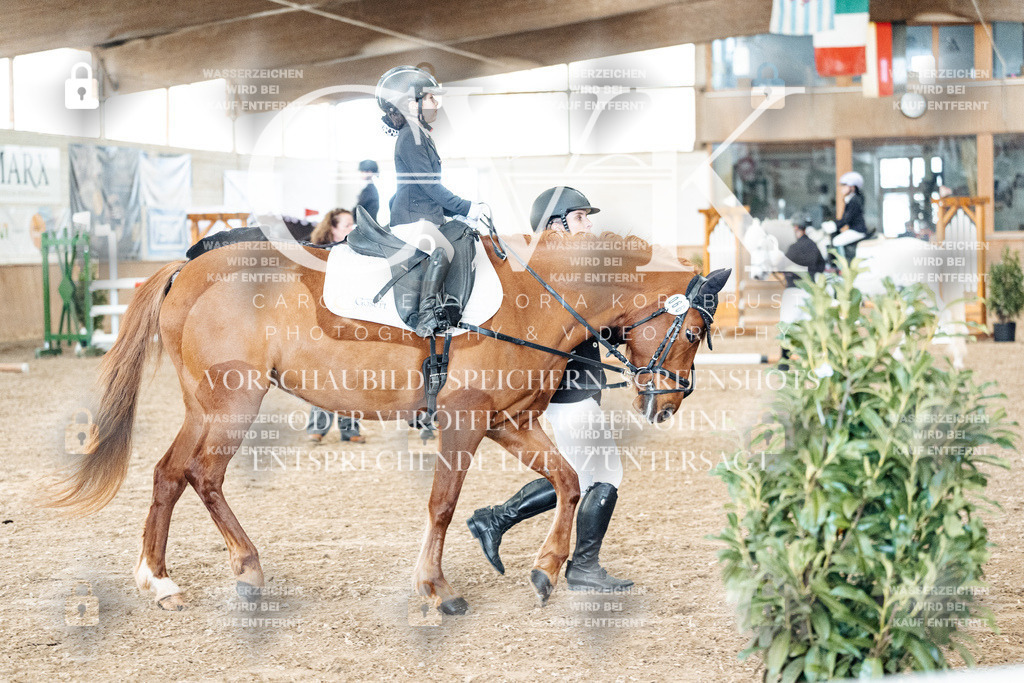 CK905583 | Turnierfotografie Pferdefotografie Trier Rheinland-Pfalz Pferdesport Reitsport Tierfotografie Sportfotografie Pferdevideo Pferdevideografie Equestrianvideography equestrianphotography  - Realized with Pictrs.com