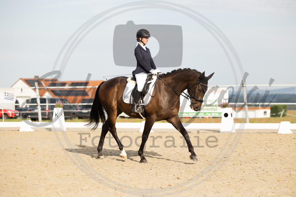 994A0970 | sabrinanicolaifotografie - Realisiert mit Pictrs.com