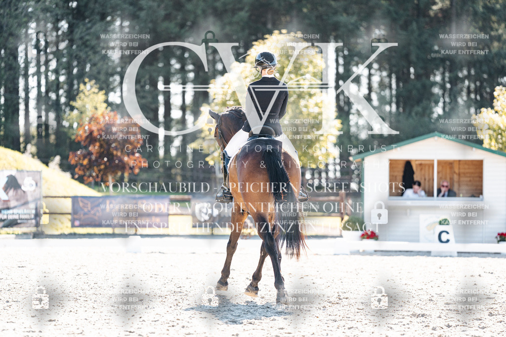 CK905689 | Turnierfotografie Pferdefotografie Trier Rheinland-Pfalz Pferdesport Reitsport Tierfotografie Sportfotografie Pferdevideo Pferdevideografie Equestrianvideography equestrianphotography  - Realisiert mit Pictrs.com