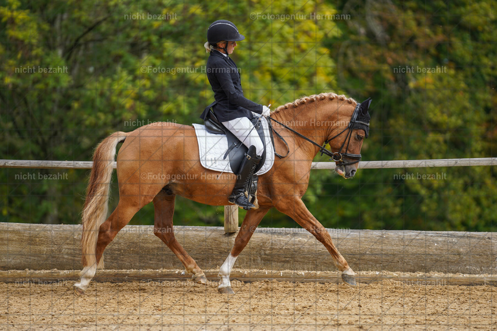 20221007-FAH09823 | Diessen am Ammersee, 2022, Dressur- und Springturnier, Reitsportbilder, Turnierfotografen Bayern, Pferdefotografen, Fotoagentur Herrmann, Turnierbilder