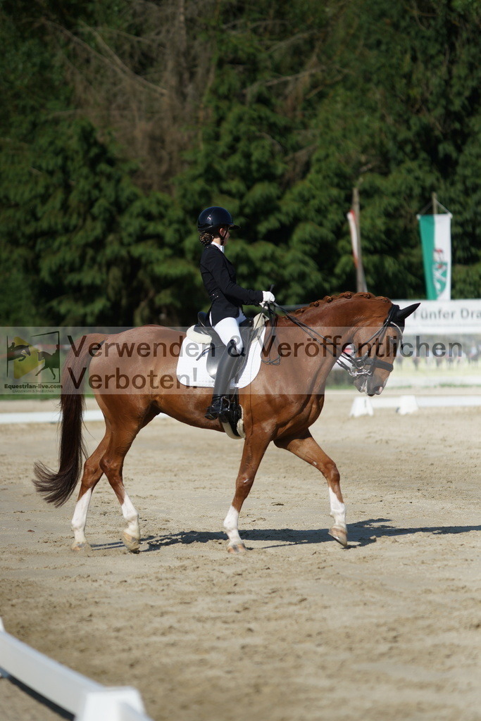 DSC02865 | equestrian-live-com