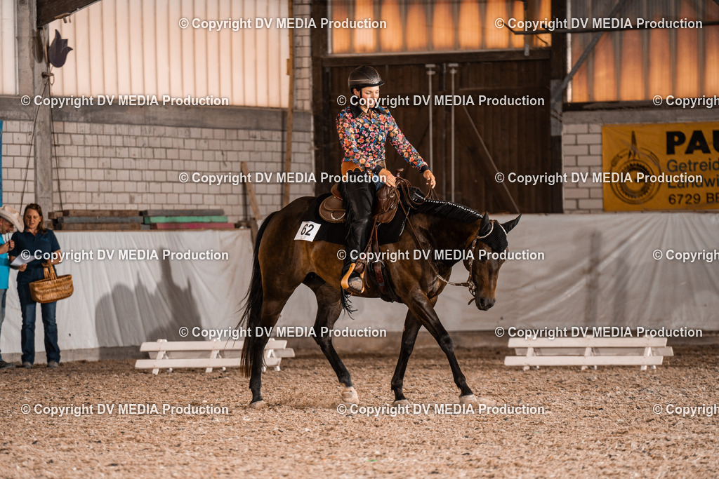 ZH200628 | dv-media-shop - Realisiert mit Pictrs.com