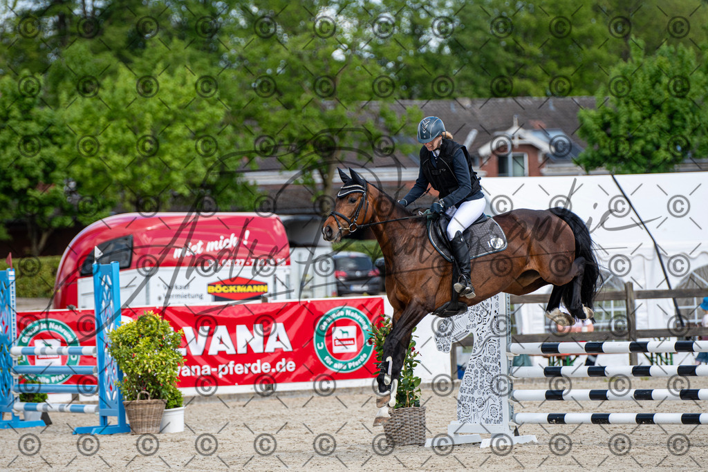 KPT_4995 | andre_photographic