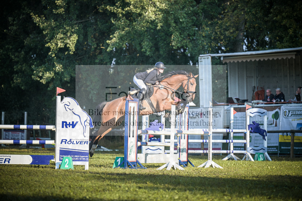DOS_0197 | Entdecke hochwertige Reitturnierfotos von Foto Oger. Professionell, emotional und authentisch – jetzt Lieblingsmomente im Shop bestellen.Deutschlandweite Turnierfotografie. - Realisiert mit Pictrs.com