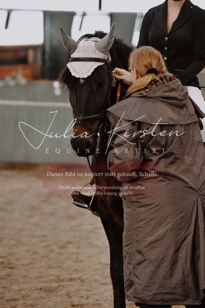 DSC_7600 | Pferde- und Turnierfotografie in Westsachsen. Pferdeportraits, Auftragszeichnungen und intuitive Kunst.