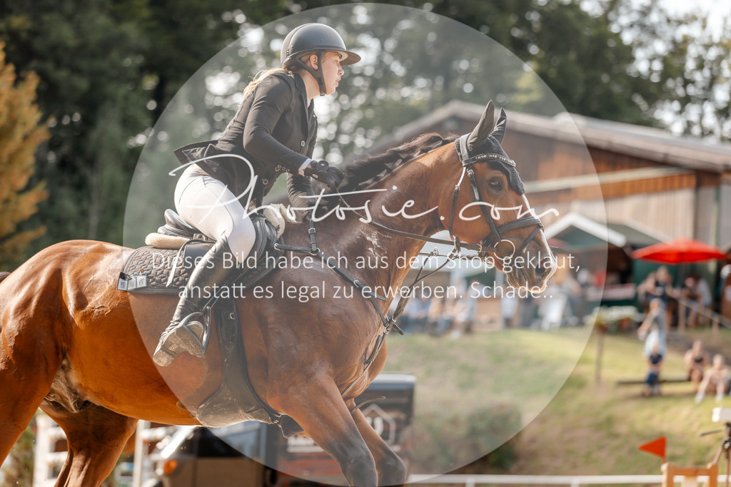 3I6A4784 | Stimmungsvolle Portraits und Reitsportfotografie im Ruhrgebiet und im Münsterland.

Pferdefotografie, Hundefotografie, Tierfotografie, Reportagen, Portraits von Tier und Mensch, Turnierfotografie in Bochum, Recklinghausen, Marl, Haltern am See, Dülmen.. - Realisiert mit Pictrs.com