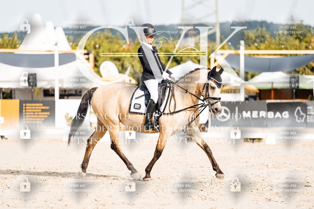 CK904197 | Turnierfotografie Pferdefotografie Trier Rheinland-Pfalz Pferdesport Reitsport Tierfotografie Sportfotografie Pferdevideo Pferdevideografie Equestrianvideography equestrianphotography  - Realisiert mit Pictrs.com
