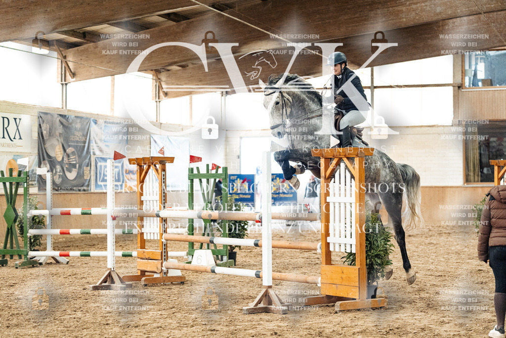 CK906337 | Turnierfotografie Pferdefotografie Trier Rheinland-Pfalz Pferdesport Reitsport Tierfotografie Sportfotografie Pferdevideo Pferdevideografie Equestrianvideography equestrianphotography  - Realisiert mit Pictrs.com