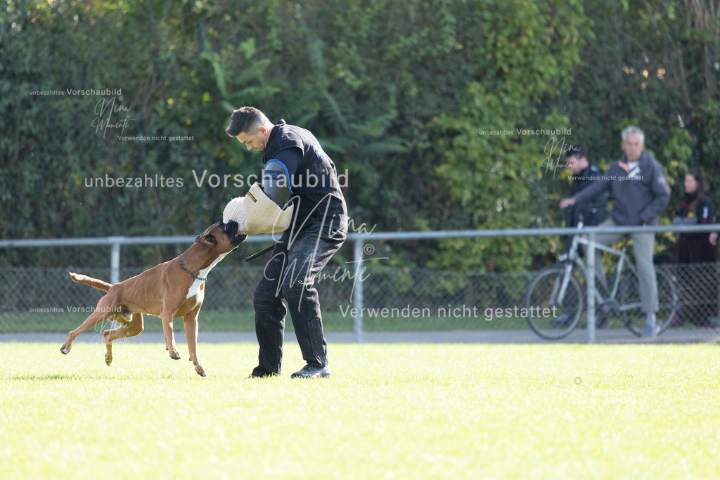 _16A6584 | Einzigartige Fotos von Hunden & Menschen –Actionfotos, Portraits, Vereinsaufnahmen & Paarshootings – authentisch, lebendig & mit Herz.