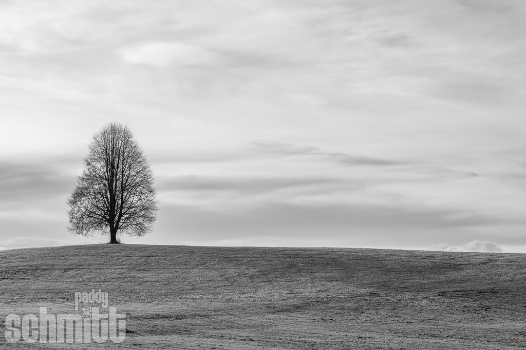 PS-Natur-2026-106 | Entdecke die größte Bildgalerie der Region mit Fotografien aus dem Allgäu, der Bodenseeregion, Oberschwaben, dem Donautal und der Schwäbischen Alb. Landschaften, Luftaufnahmen und Reisefotografie als Wandbild und Fotokunst. - Realisiert mit Pictrs.com