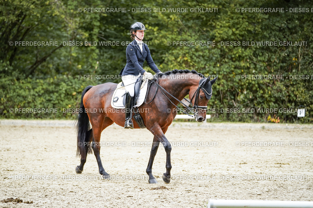 DSC01985 | Pferdegrafie