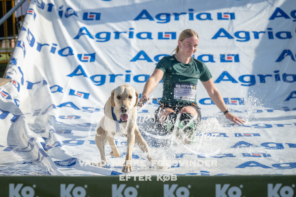 0920_ZZ94834 | kk-dogfotos