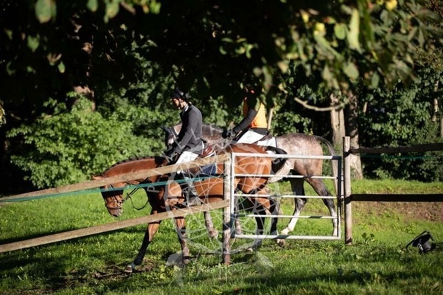 2B4A0056 | pixelfaenger - Realisiert mit Pictrs.com