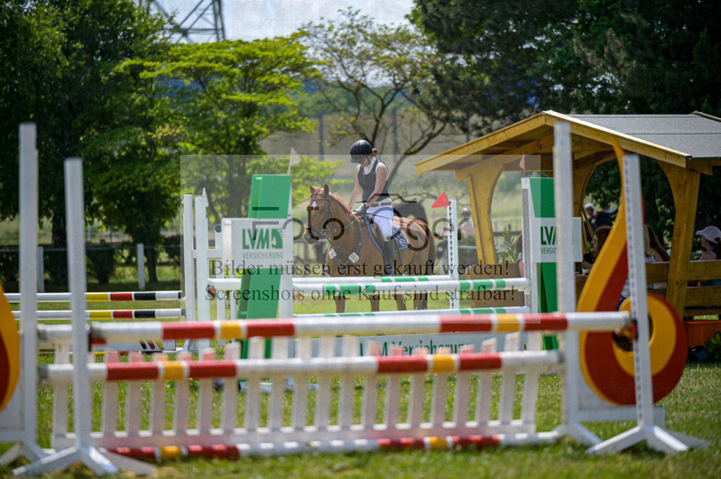 Reitturnier Voxtrup | Entdecke hochwertige Reitturnierfotos von Foto Oger. Professionell, emotional und authentisch – jetzt Lieblingsmomente im Shop bestellen.Deutschlandweite Turnierfotografie. - Realisiert mit Pictrs.com