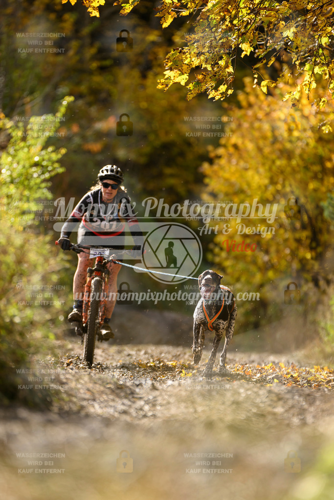 MompixPhotography_ICF_WC_2024_SA_Bike_-331 | PayLife