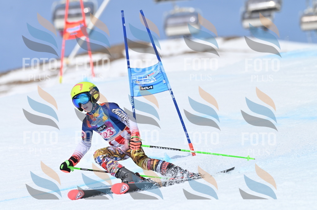 BGV_3159 | holidayphoto