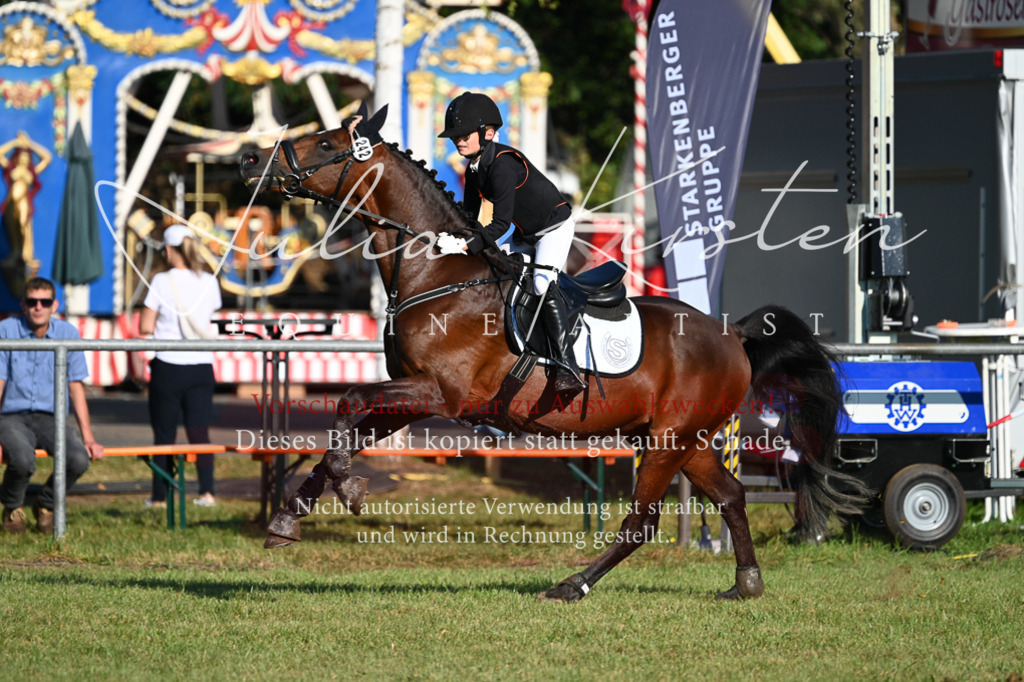 DSC_4764 | Pferde- und Turnierfotografie in Westsachsen. Pferdeportraits, Auftragszeichnungen und intuitive Kunst.