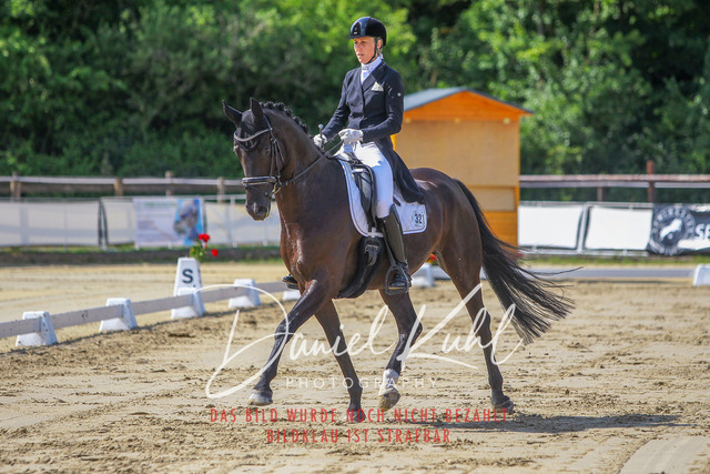 DKP46473 | Turniersportfotografie; Pferdefotografie; Dressurfotografie