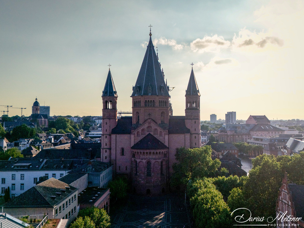 Der Mainzer Dom St Martin | Der hohe Dom St Martin zu Mainz