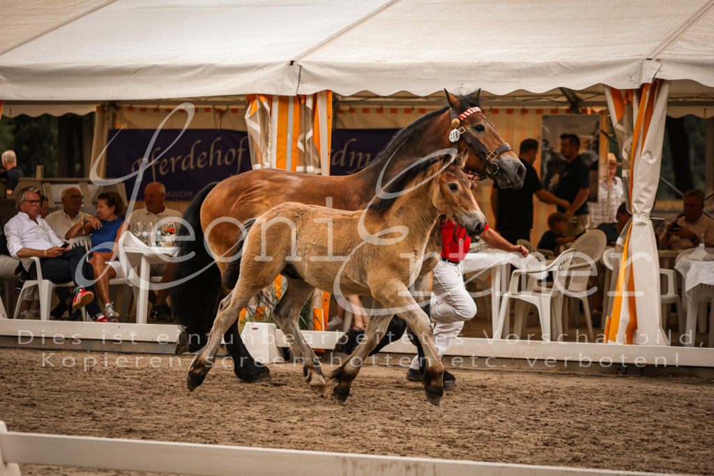 SaHF00075 | Leoni Ertmer Photography - Realisiert mit Pictrs.com