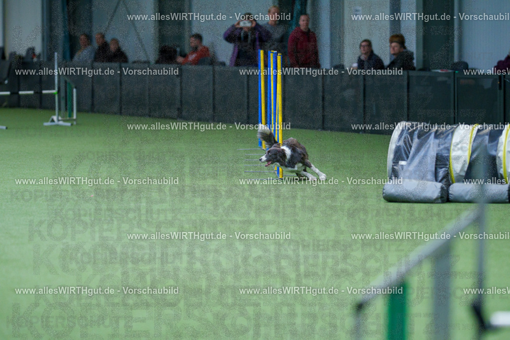 @allesWIRTHgut_Tierfotografie - www.allesWIRTHgut.de - 2604251109-7R501346 | Professionelle Tierfotografie in Mönchengladbach von Daniel Wirth (allesWIRTHgut). Liebevolle & natürliche Bilder von Hunden & Katzen für unvergessliche Erinnerungen.
