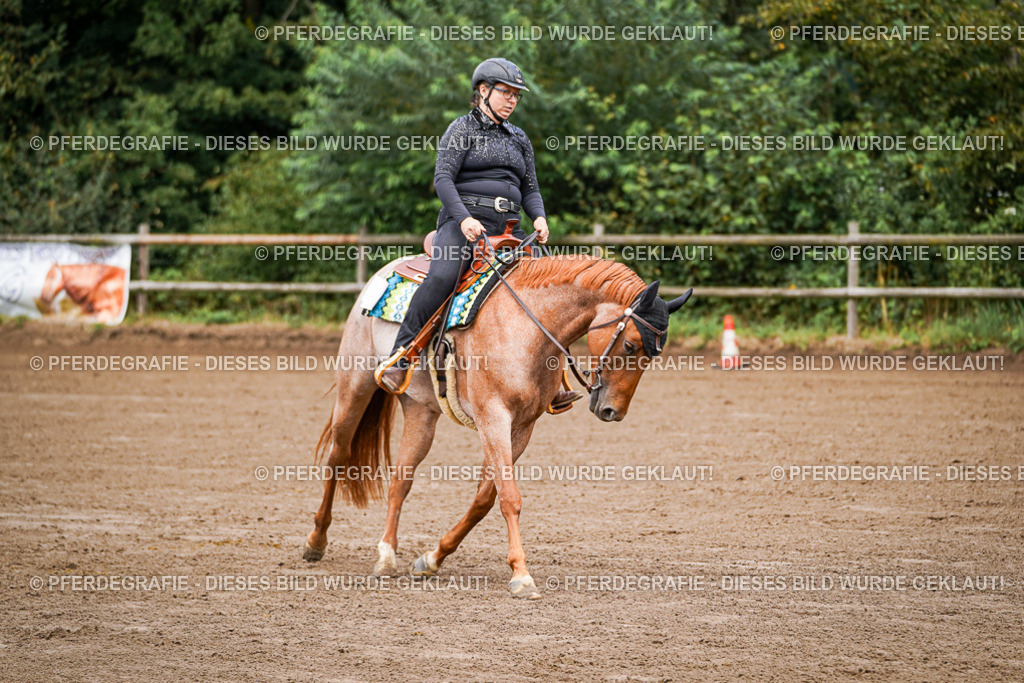 DSC05651 | Pferdegrafie