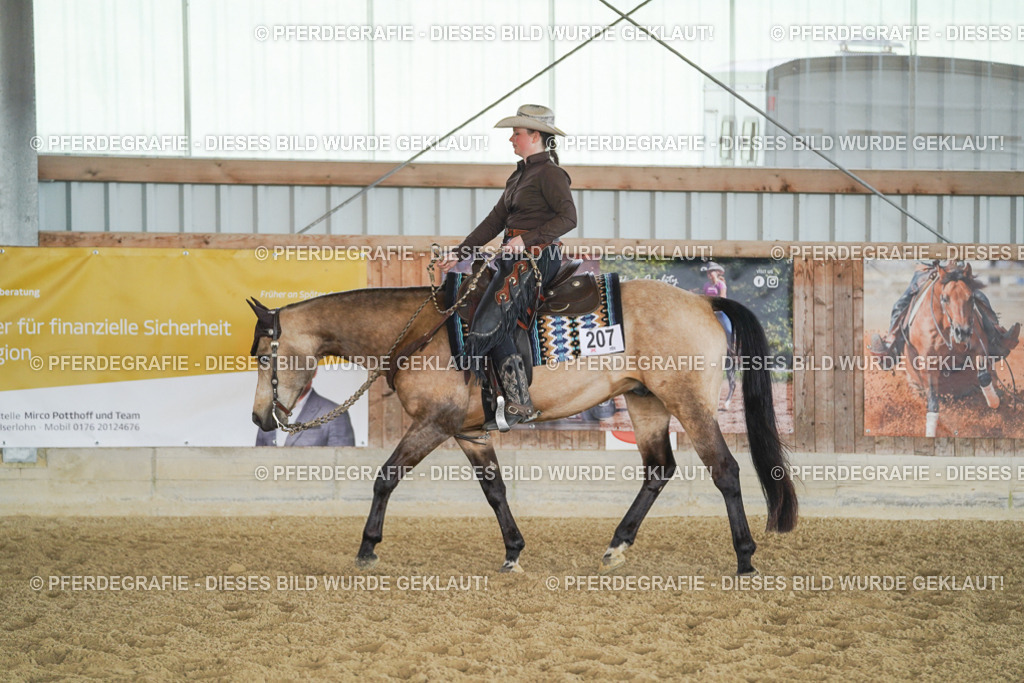 DSC00125 | Pferdegrafie