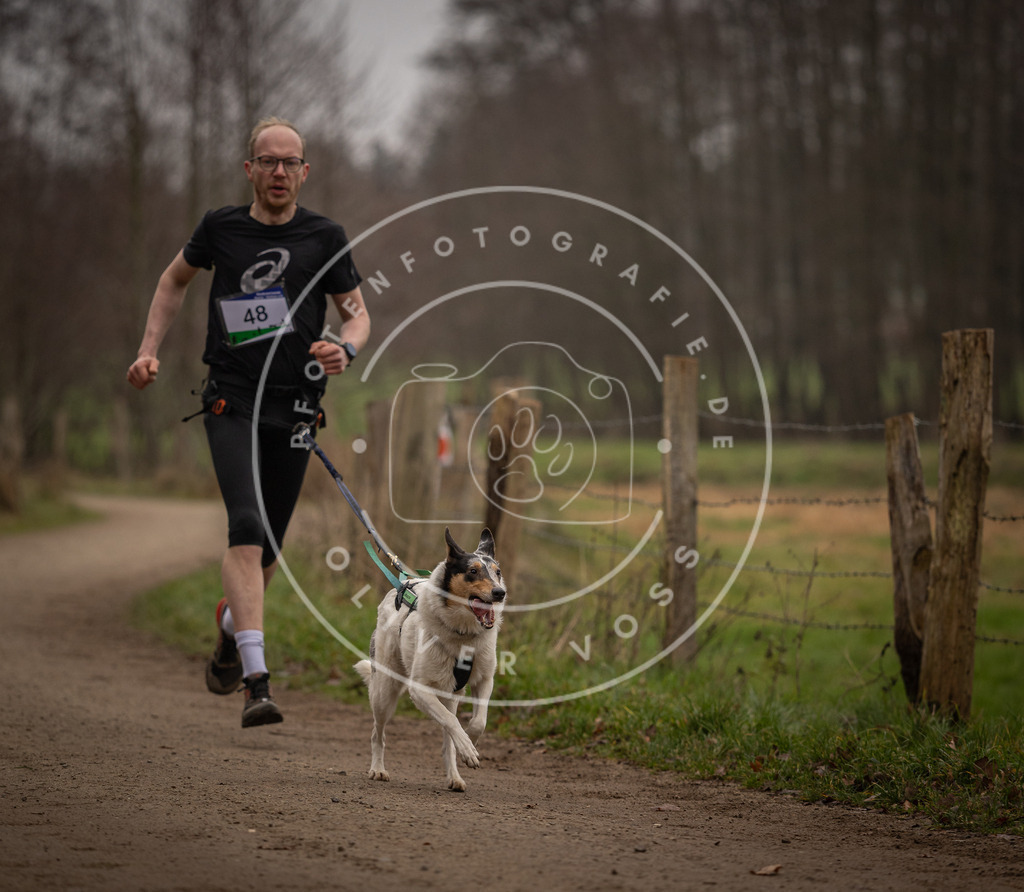 Pfotenfotografie_DV3A2761 | Hundefotografie, Tierfotograf, Pfotenfotografie, Fotoshooting Hund, Hunde Portrait, Hundesport, Hundeportraits, Heideshooting, Hunde, Sportfotograf, Hundefotograf, Turnierhundsport, THS,  - Realisiert mit Pictrs.com