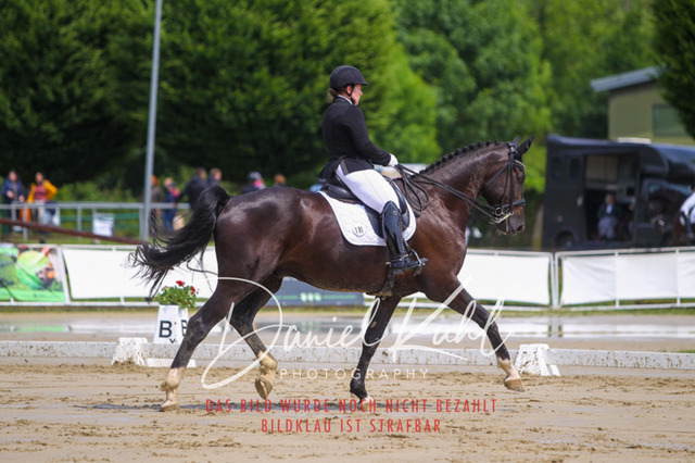 DKP40590 | Turniersportfotografie; Pferdefotografie; Dressurfotografie