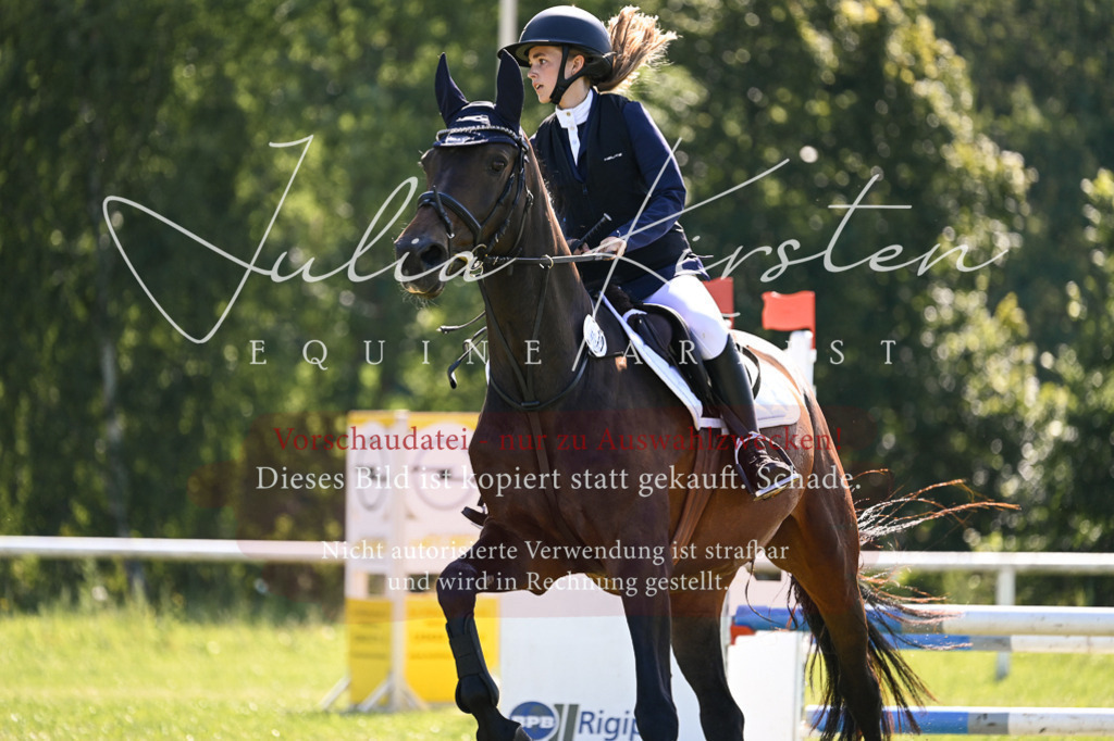 DSC_8772 | Pferde- und Turnierfotografie in Westsachsen. Pferdeportraits, Auftragszeichnungen und intuitive Kunst.