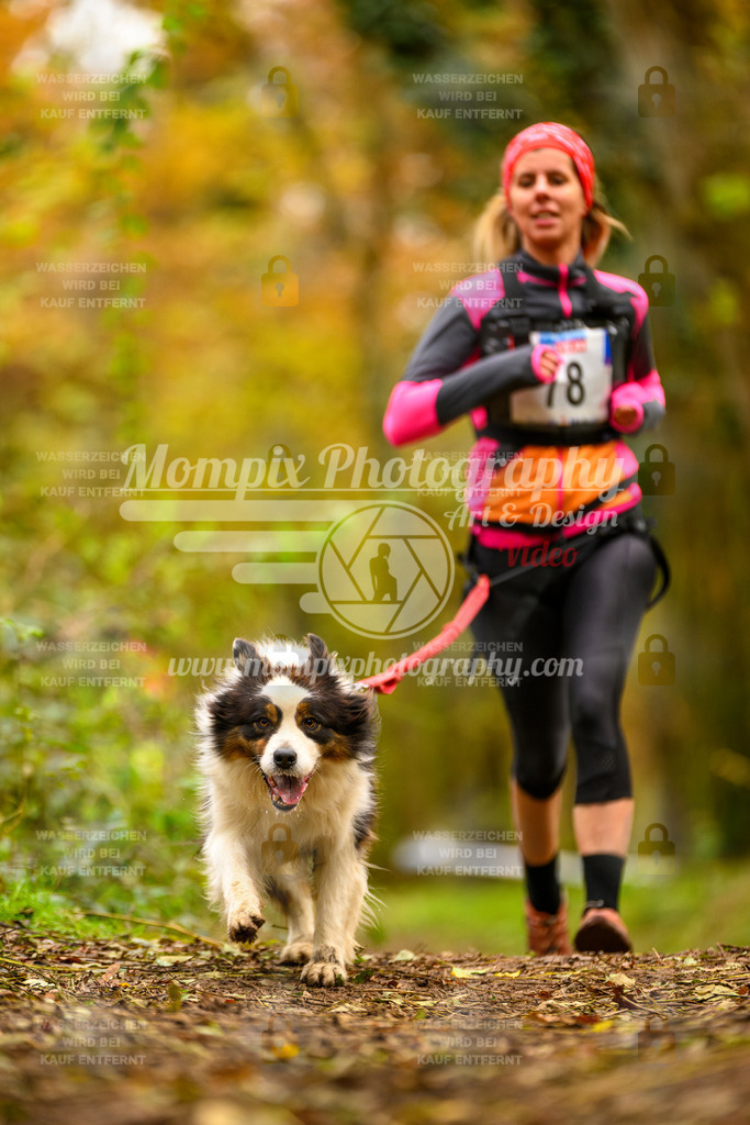 MompixPhotography_Bischwiller24_SA_Canicross-132 | mompixphotography