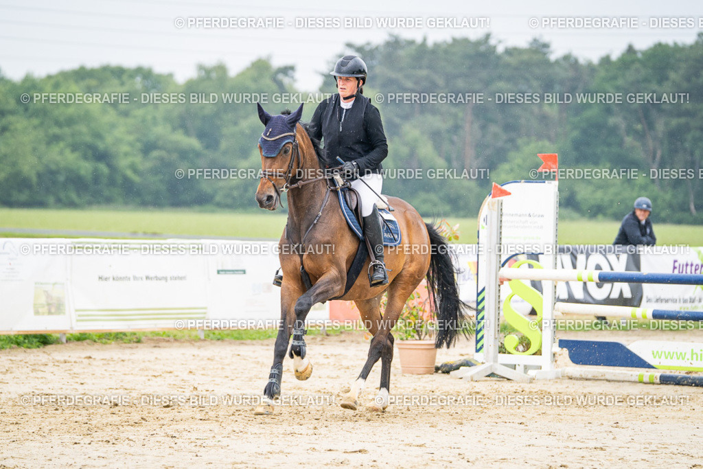 DSC00816 | Pferdegrafie