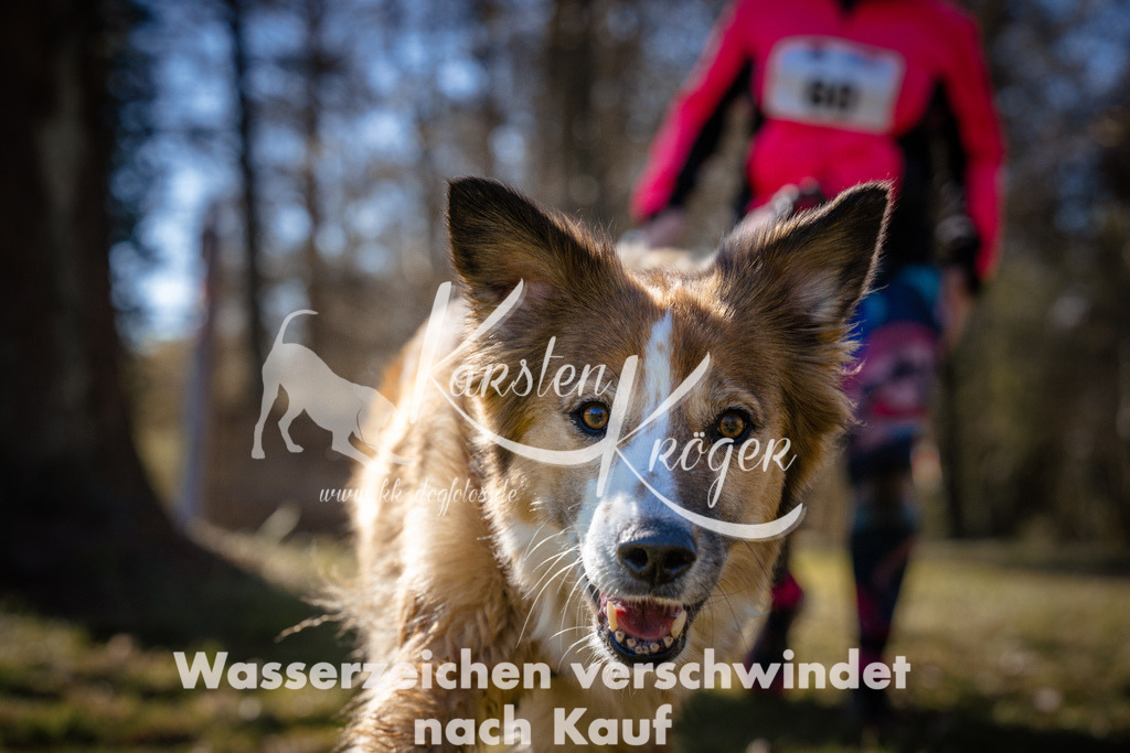 0952_ZZ96813 | kk-dogfotos
