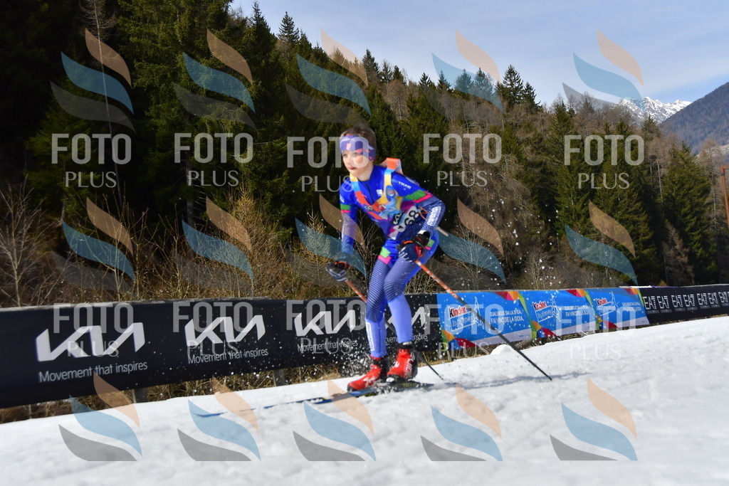 _DSC0549 | holidayphoto