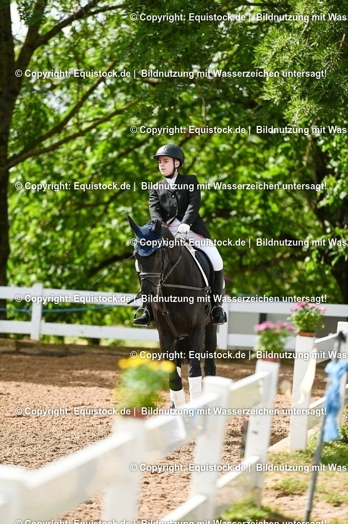 20230716_10-1_Reiter-WB Schritt - Trab - Galopp_0160 | equistock