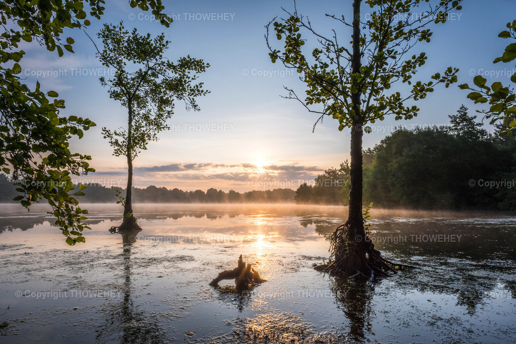 _1038851 | thowehey - Realisiert mit Pictrs.com