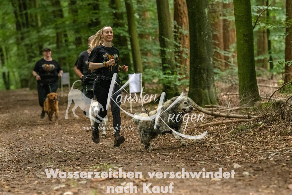 1227_ZZ91114-Bearbeitet-2 | kk-dogfotos
