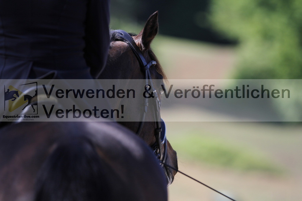_MG_2924 | equestrian-live-com
