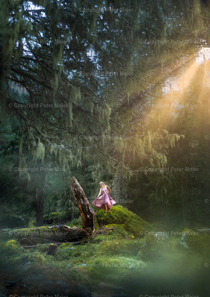 Debanttal_Erlebnisraum_Wald_23_Peter_Maier-410 | piet_flosse