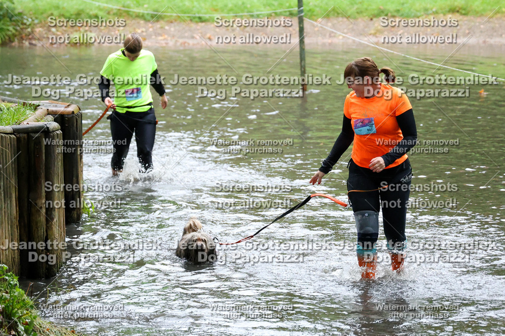 Dog Paparazzi -  SD1026-8301 | Dog Paparazzi Jeanette Grottendiek Fotografie & Videografie - Realisiert mit Pictrs.com