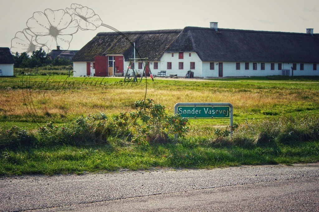 IMG_8237-01 | only.this.little.world - Realisiert mit Pictrs.com