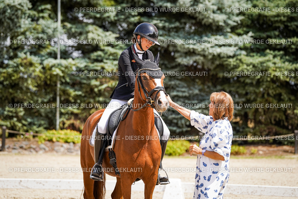 DSC01785 | Pferdegrafie