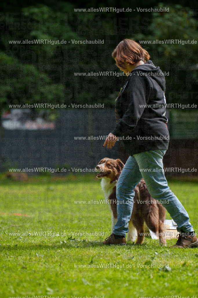 @allesWIRTHgut_Tierfotografie - www.allesWIRTHgut.de - 094720-7R507634 | Professionelle Tierfotografie in Mönchengladbach von Daniel Wirth (allesWIRTHgut). Liebevolle & natürliche Bilder von Hunden & Katzen für unvergessliche Erinnerungen.