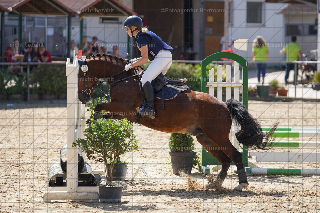 20240824-FAH08028 | Thierhaupten 2024, Bayerisches Landesponyturnier, Turnierbilder, Ponybilder, Turnierfotografen Bayern, Fotoagentur Herrmann