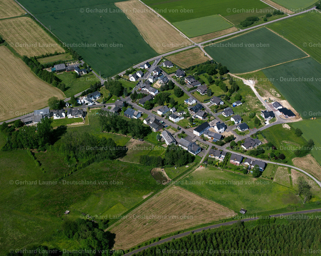2625064 | Dudenroth, Braunshorn
